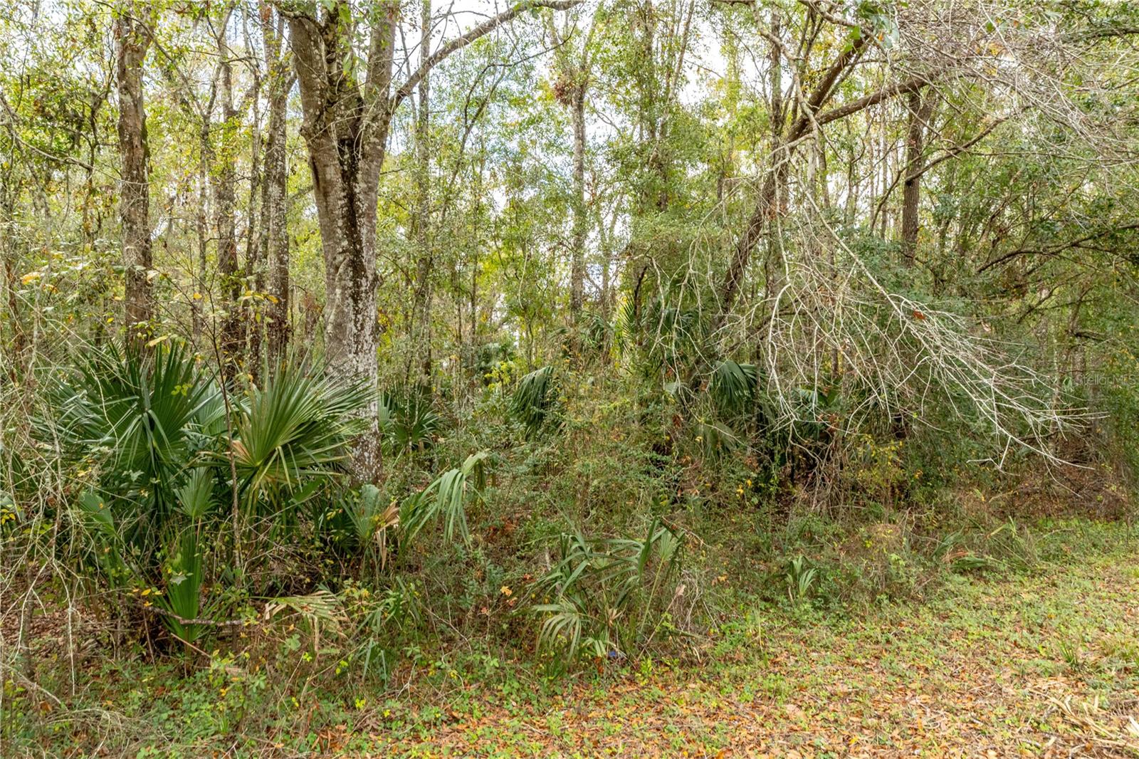 Photo of LAKE LINDSEY TRACT 2 ROAD BROOKSVILLE FL 34601