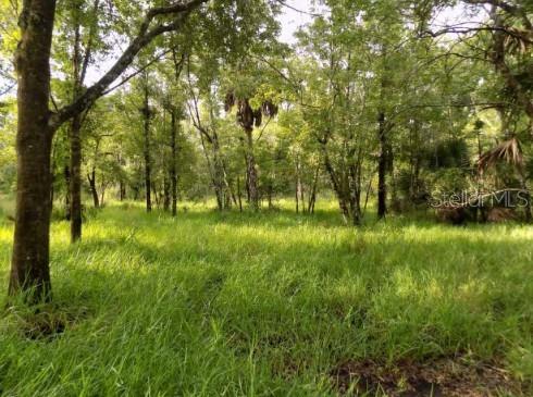 Photo of 5001 WHIPPOORWILL DRIVE HOLIDAY FL 34690