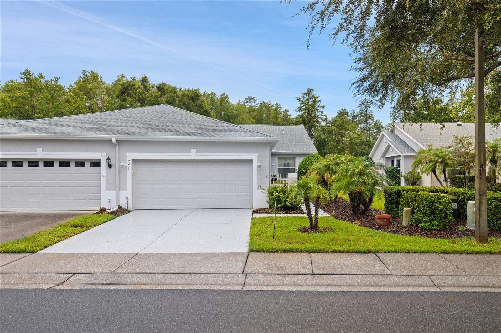 Photo of 7245 CLEOPATRA DRIVE LAND O LAKES FL 34637