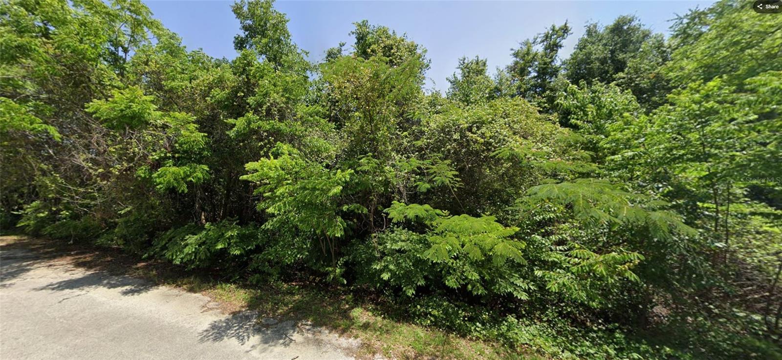 Photo of 19 SE 146 LANE SUMMERFIELD FL 34491