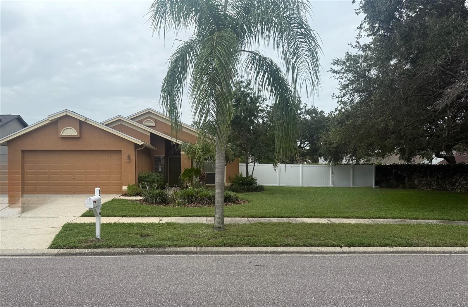 Photo of 11516 WHISPERING HOLLOW DRIVE TAMPA FL 33635