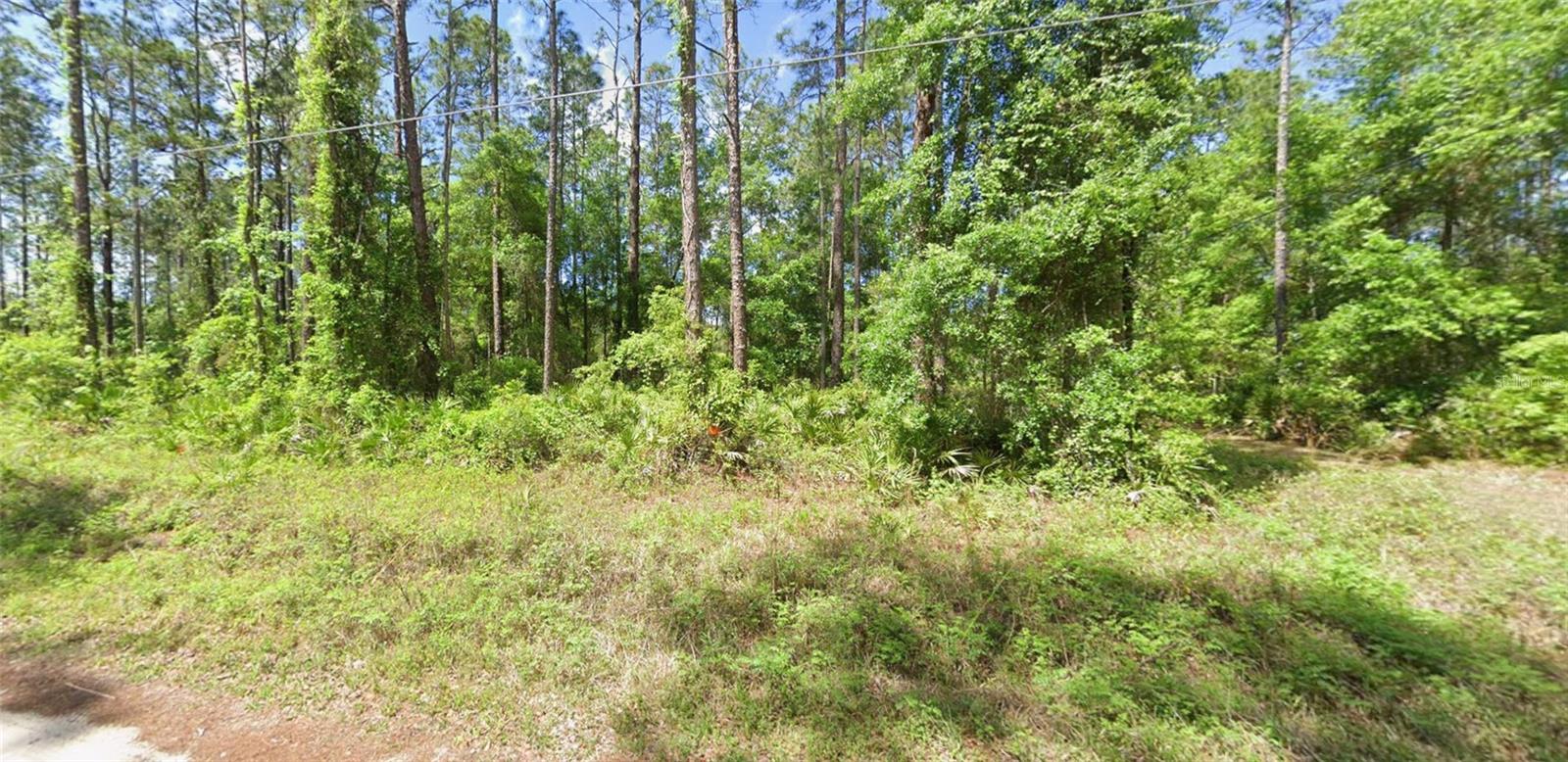 Photo of 0 NE 156 PLACE FORT MC COY FL 32134
