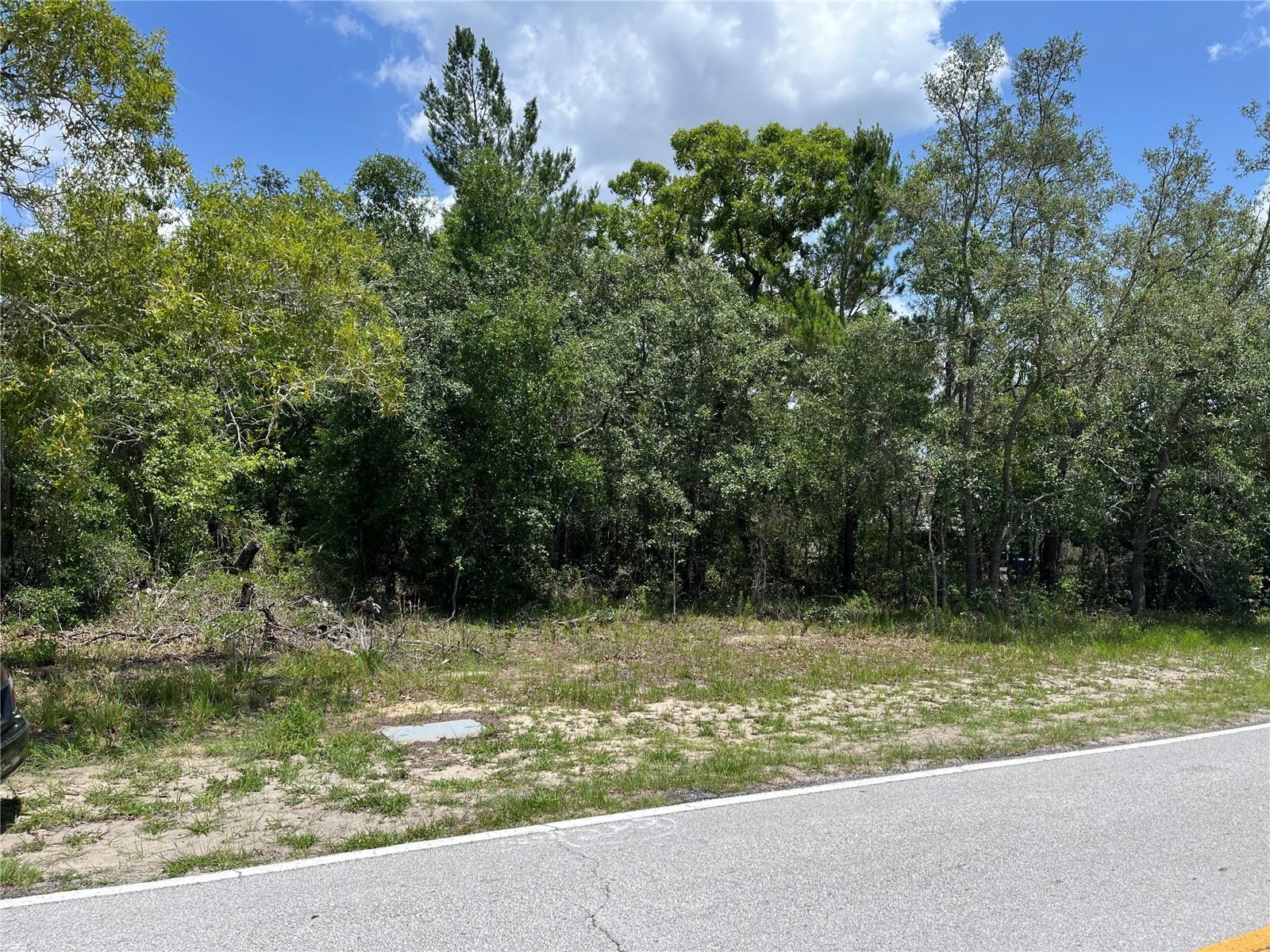 Photo of PINEHURST DRIVE SPRING HILL FL 34606