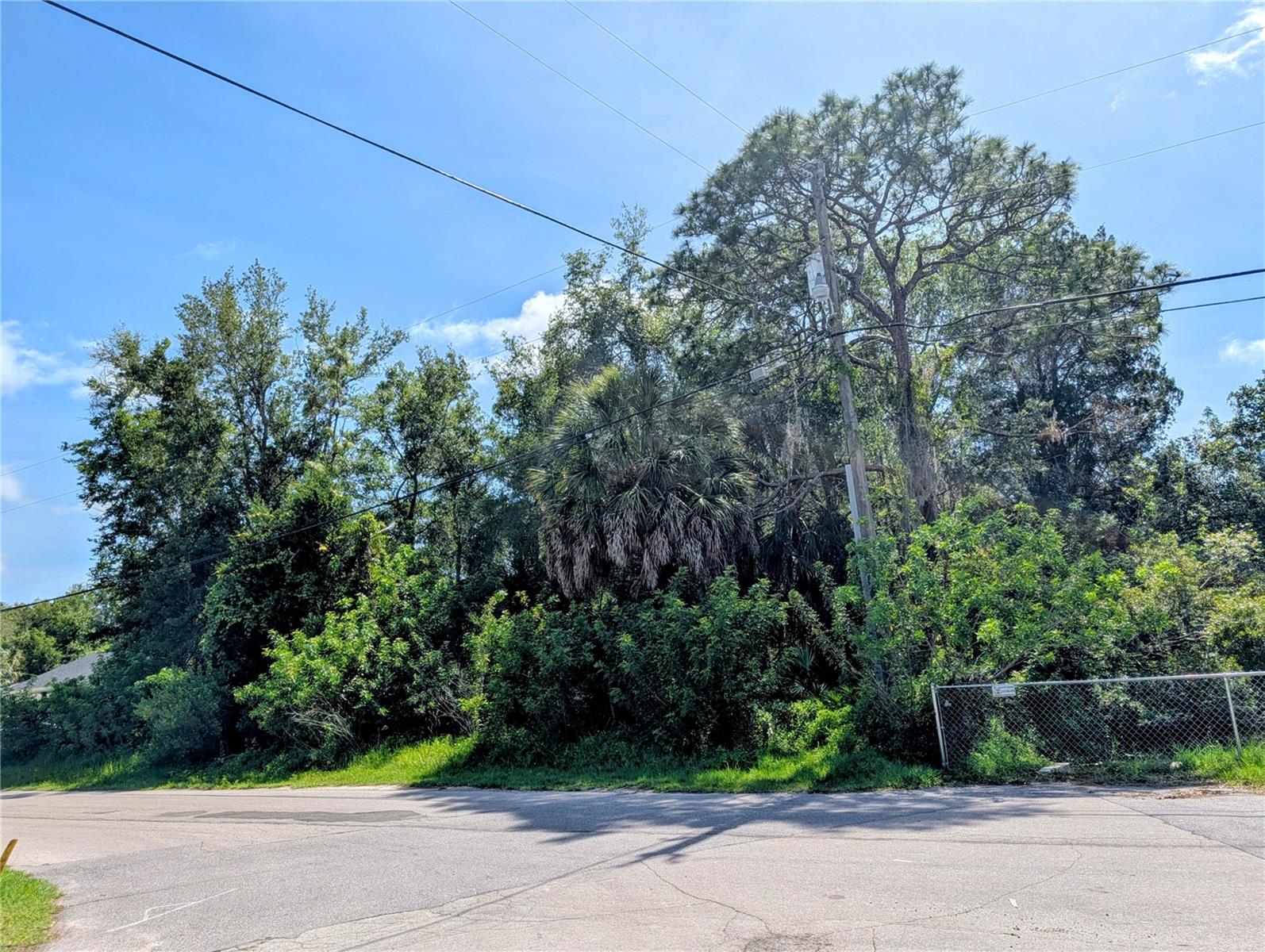 Photo of TBD DAYTON HUDSON FL 34667