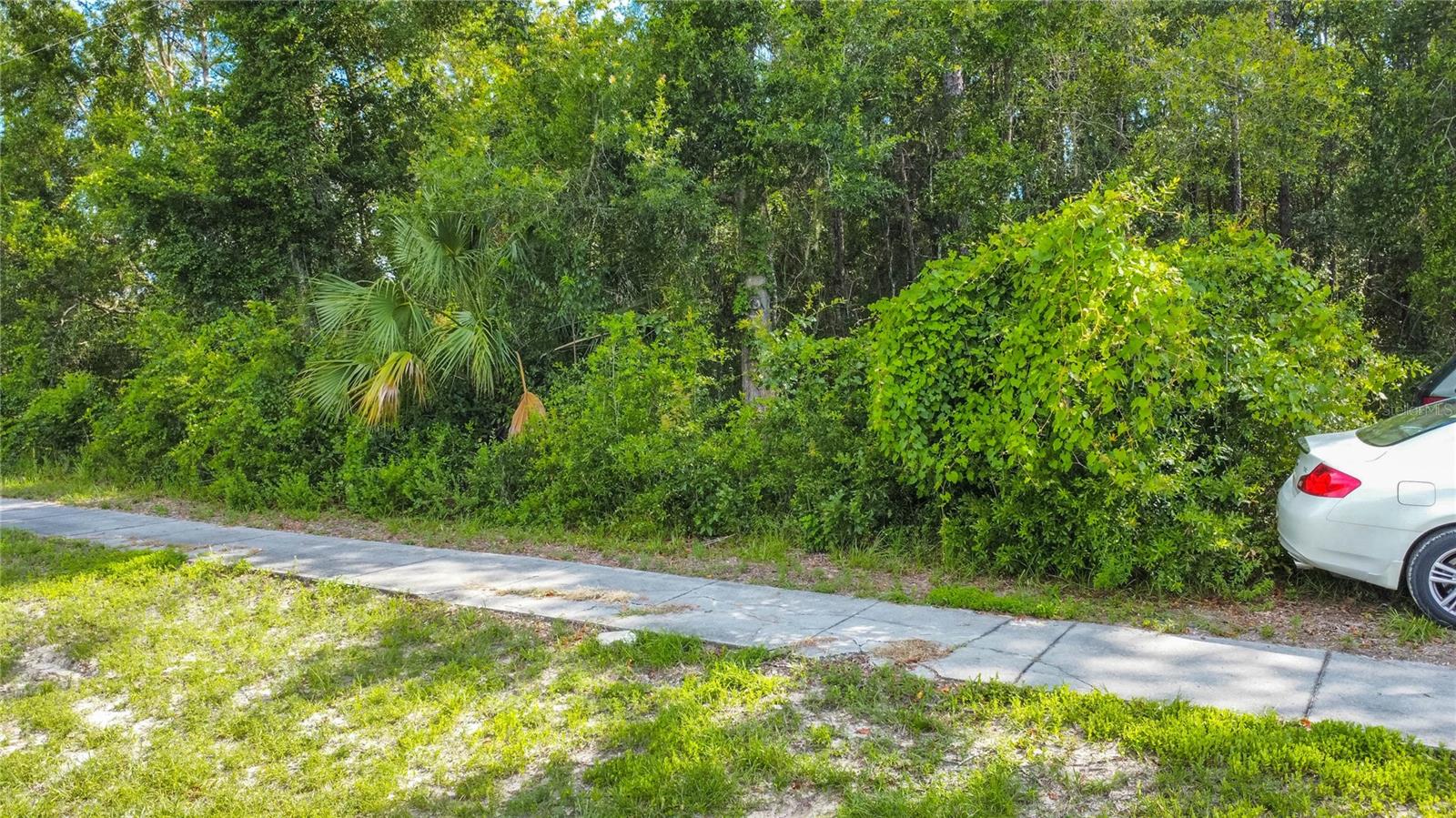 Photo of 4176 W GULF TO LAKE HIGHWAY LECANTO FL 34461