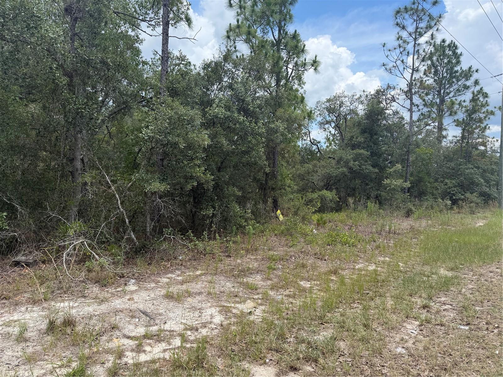 Photo of 6215 S PREMIERE AVENUE HOMOSASSA FL 34446