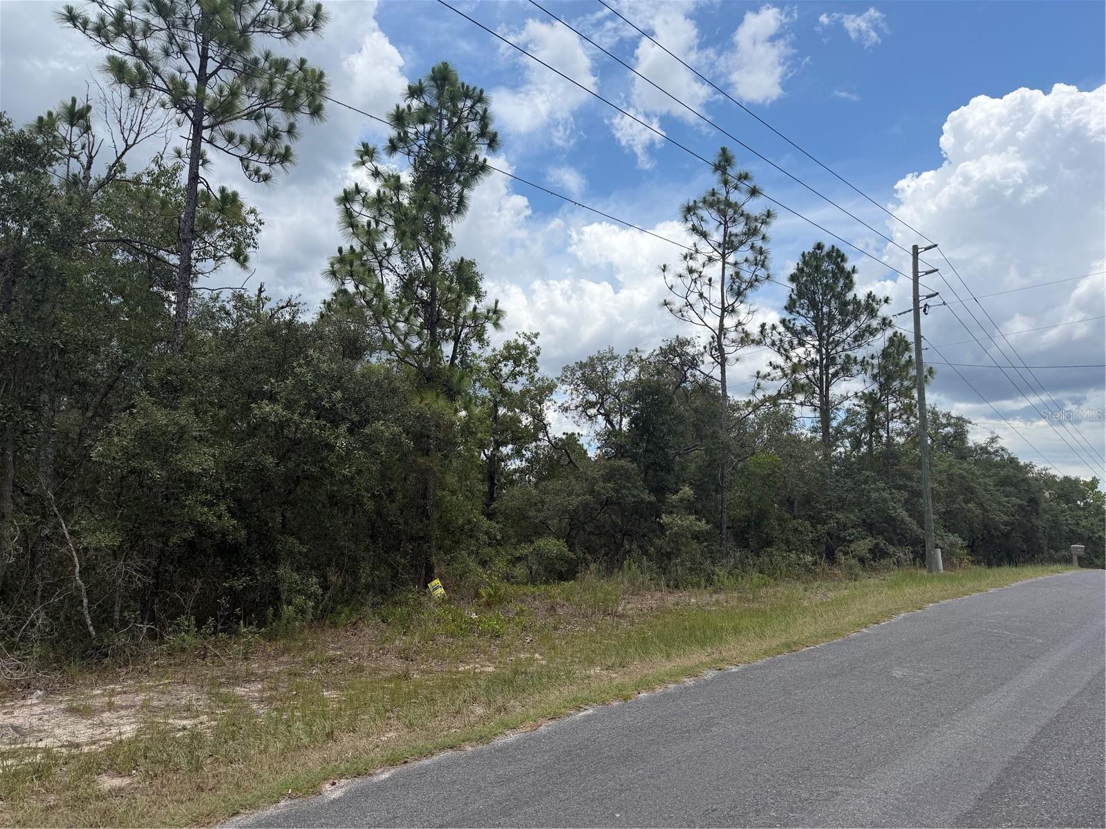 Photo of 6215 S PREMIERE AVENUE HOMOSASSA FL 34446