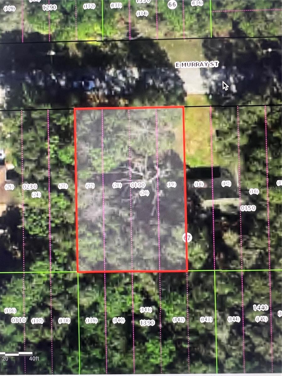 Photo of 3404 E MURRAY STREET INVERNESS FL 34453