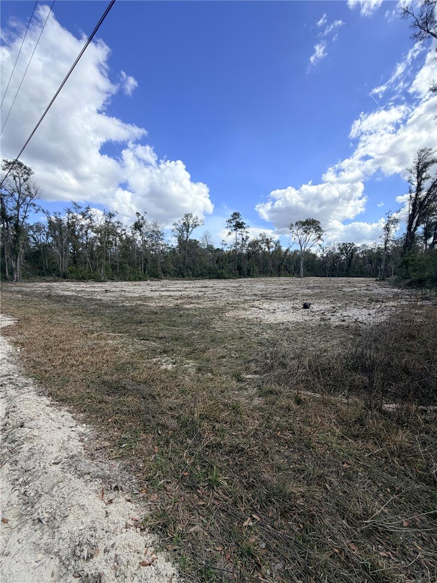 Photo of 163 NE 159TH AVENUE OLD TOWN FL 32680