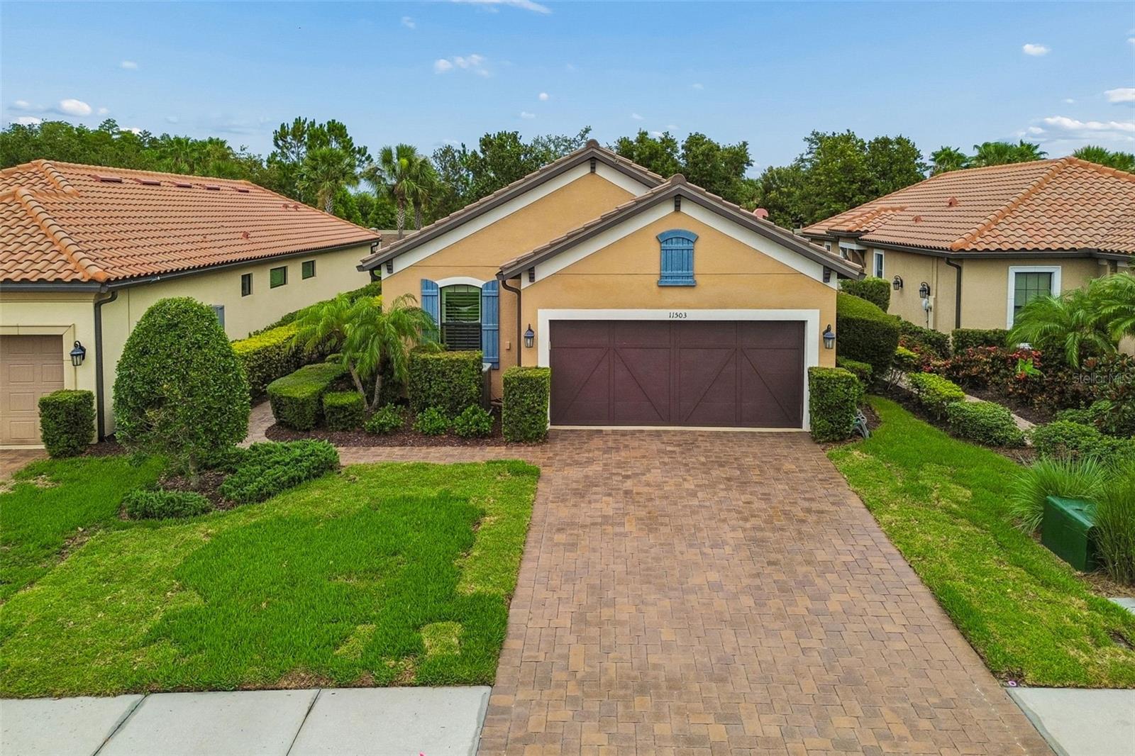 Photo of 11503 CALLISIA DRIVE ODESSA FL 33556