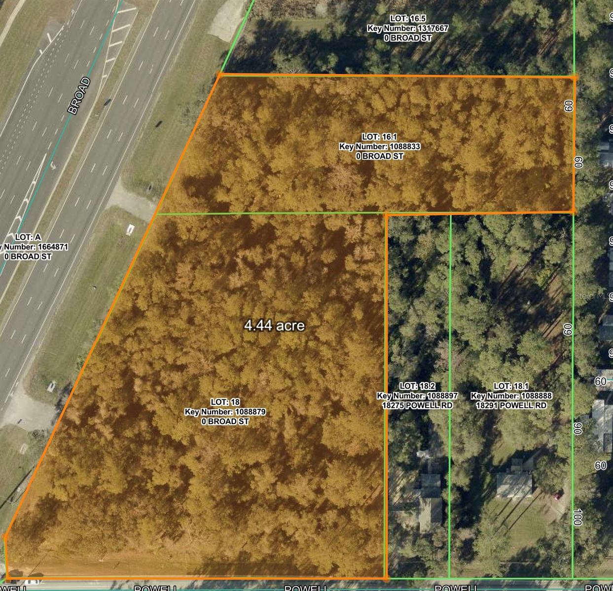 Photo of BROAD STREET BROOKSVILLE FL 34601