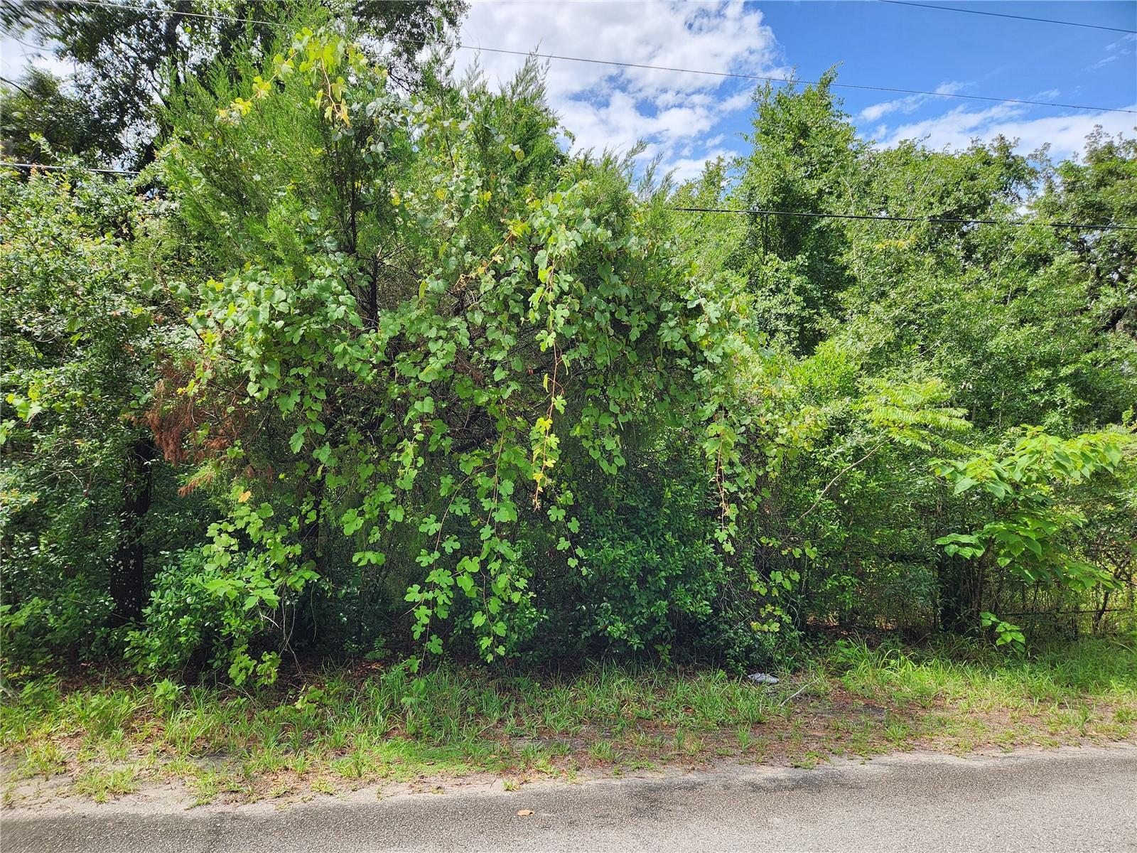 Photo of 00 OAK DRIVE #Tract 25 HUDSON FL 34669