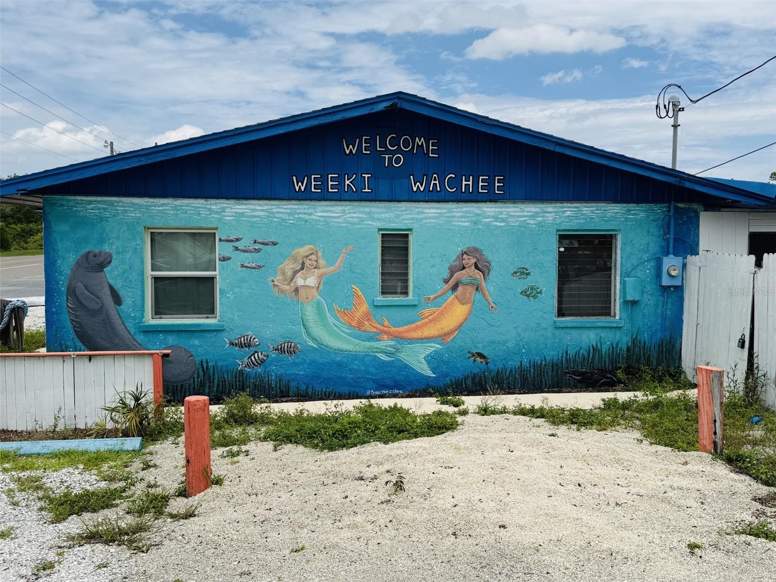 Photo of 8061 CORTEZ BOULEVARD WEEKI WACHEE FL 34607