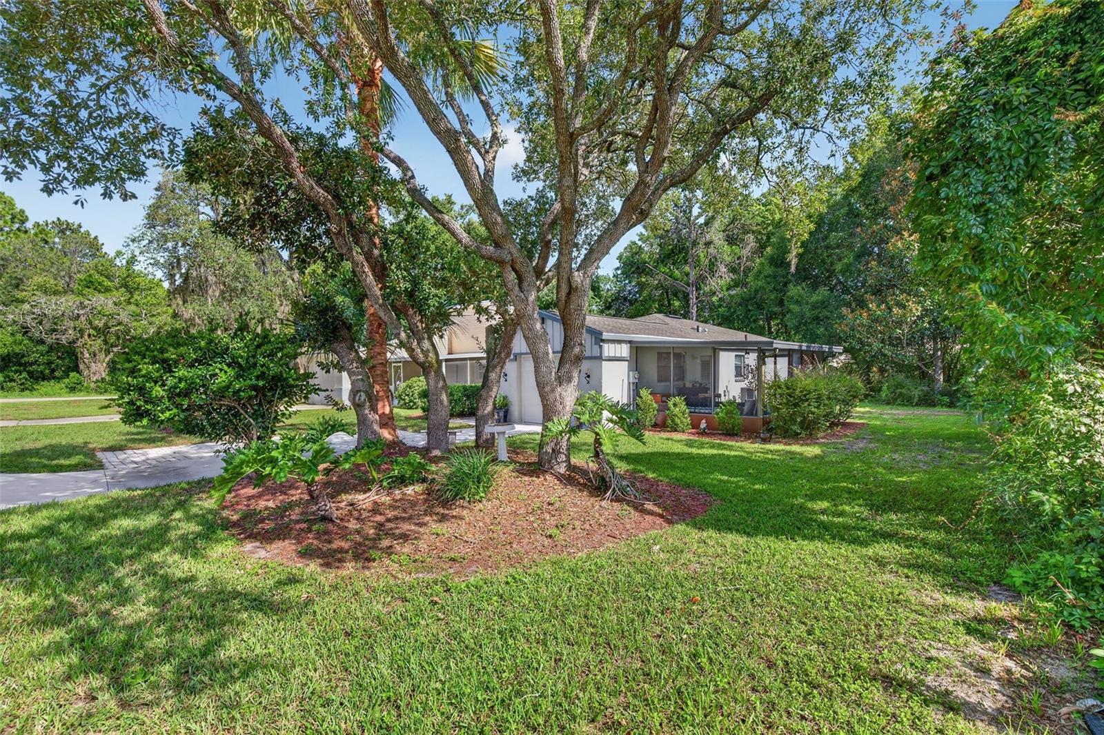 Photo of 12 CHINABERRY CIRCLE HOMOSASSA FL 34446