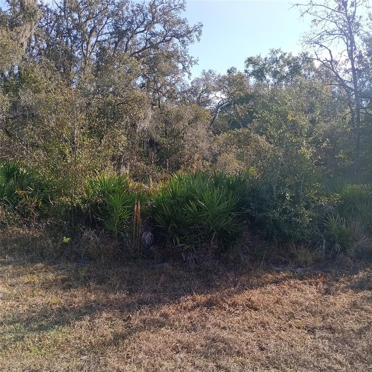 Photo of 8110 TREIMAN BOULEVARD WEBSTER FL 33597