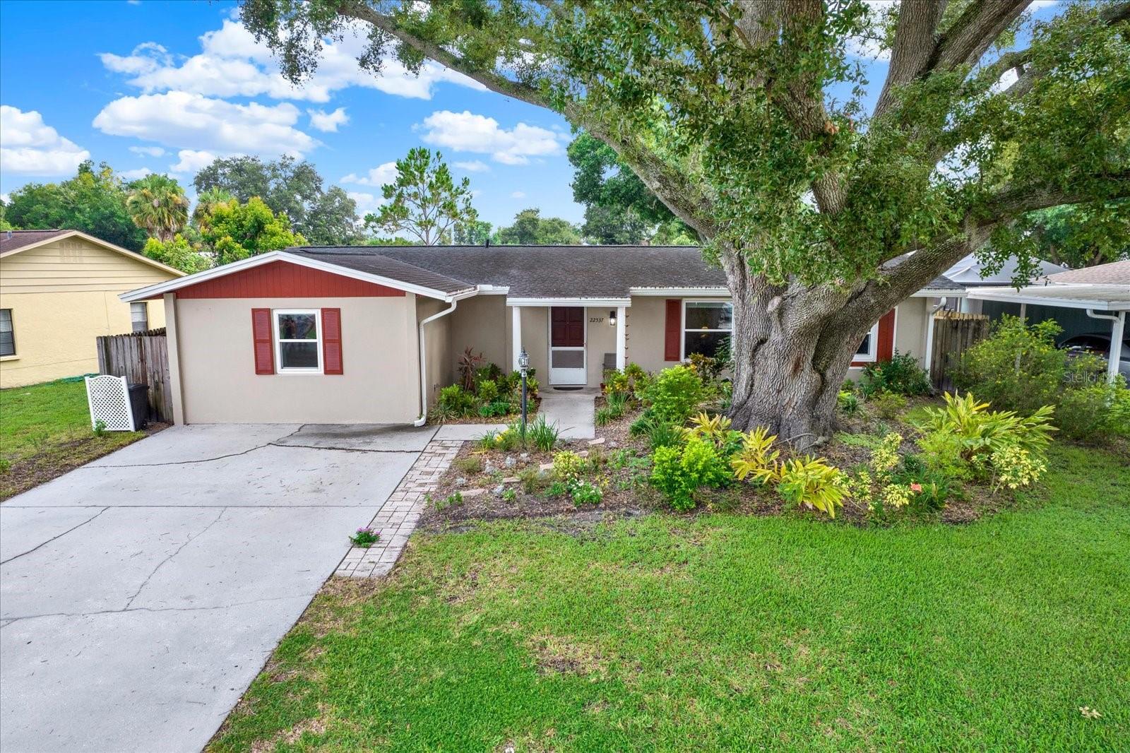 Photo of 22537 NEWFIELD COURT LAND O LAKES FL 34639