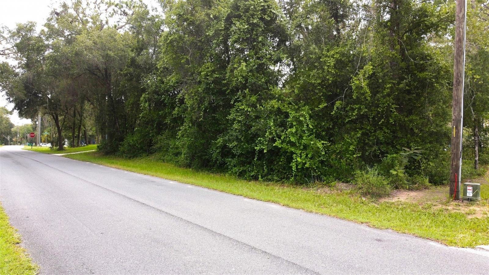 Photo of 6982 N PALMER WAY HERNANDO FL 34442