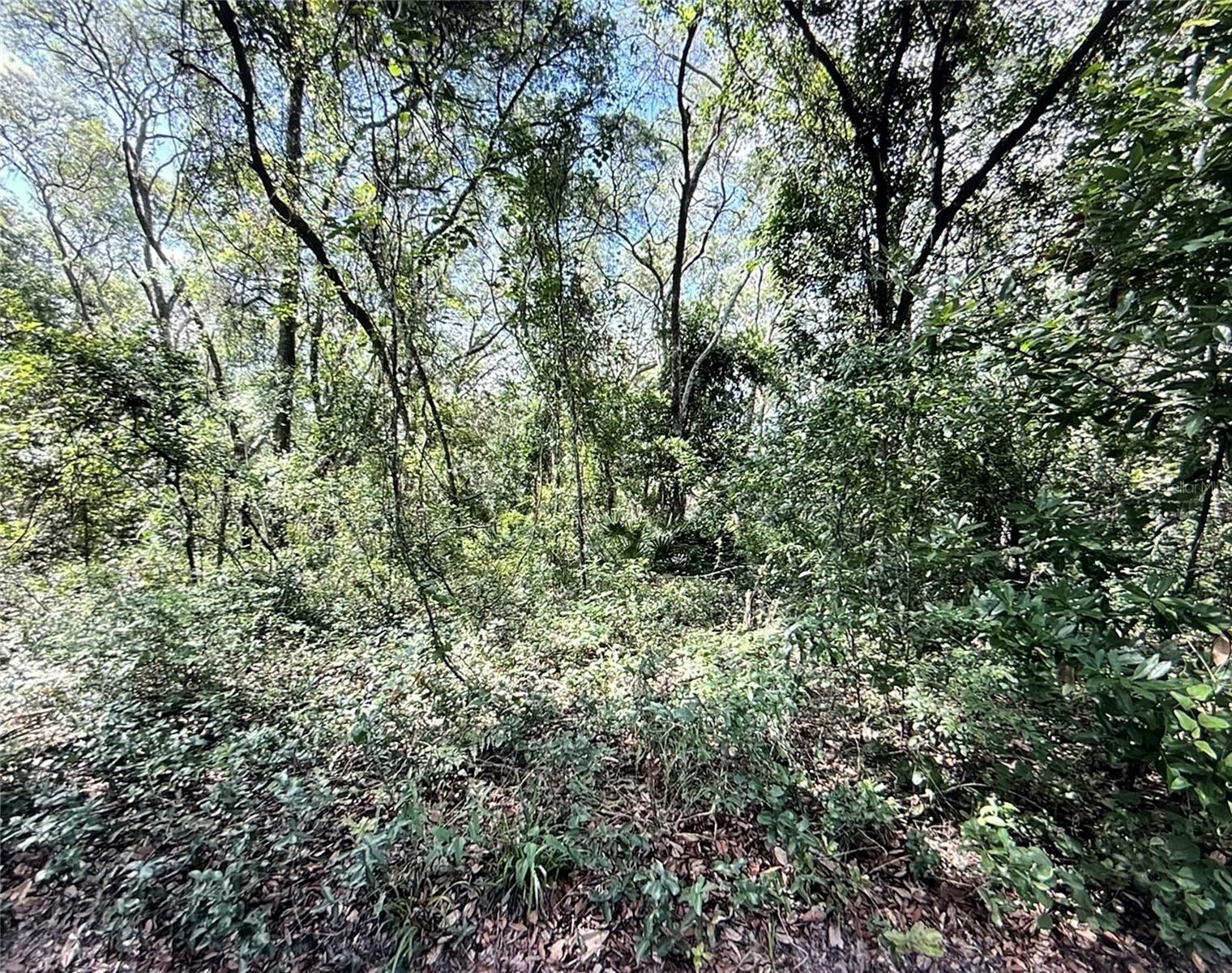 Photo of SW 150TH STREET DUNNELLON FL 34432
