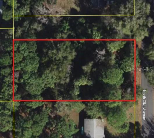 Photo of 3408 N OLIVE AVENUE CRYSTAL RIVER FL 34428