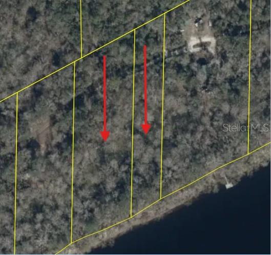 Photo of 893 NE 930 STREET CROSS CITY FL 32628