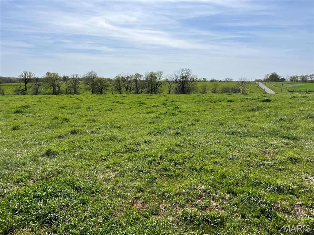 Photo of 0 Lot 1 Spring Valley Drive Bowling Green MO 63334