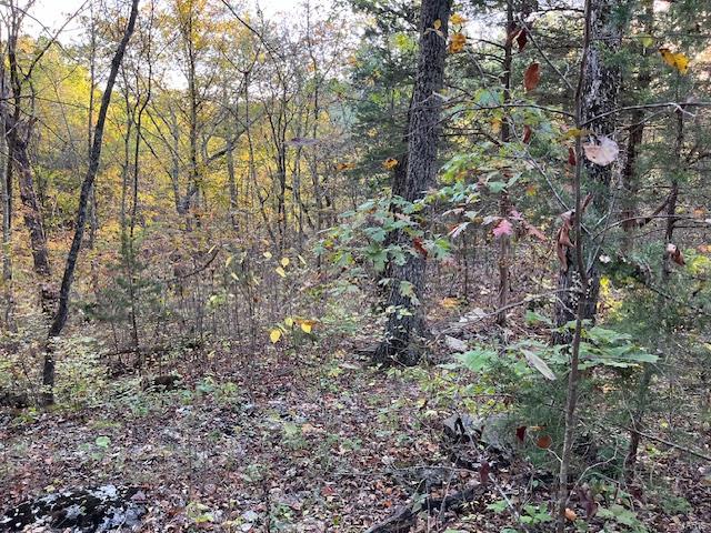 Photo of 0 Lot 532 Oak Drive New Florence MO 63363