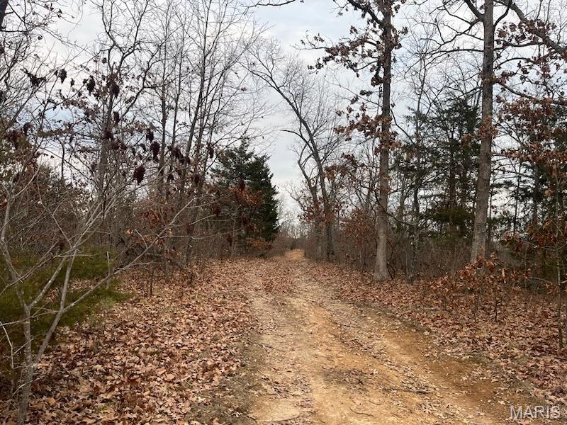 Photo of (125.87 Ac) Tract A-2 Clear Creek Road Richwoods MO 63071