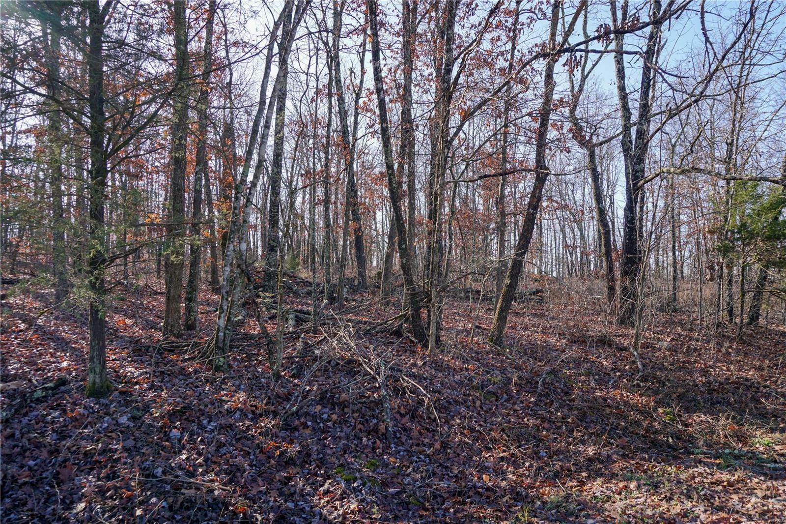 Photo of 33551 CR 6510 Beulah MO 65436