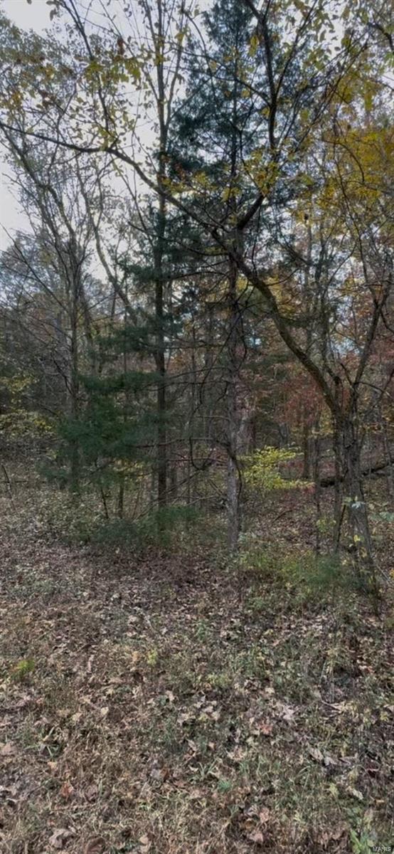 Photo of 0 Brook Hollow 2 Lot 53 Dittmer MO 63023