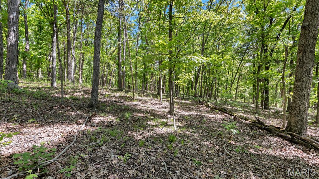 Photo of TBD Holtwick Trail Robertsville MO 63072