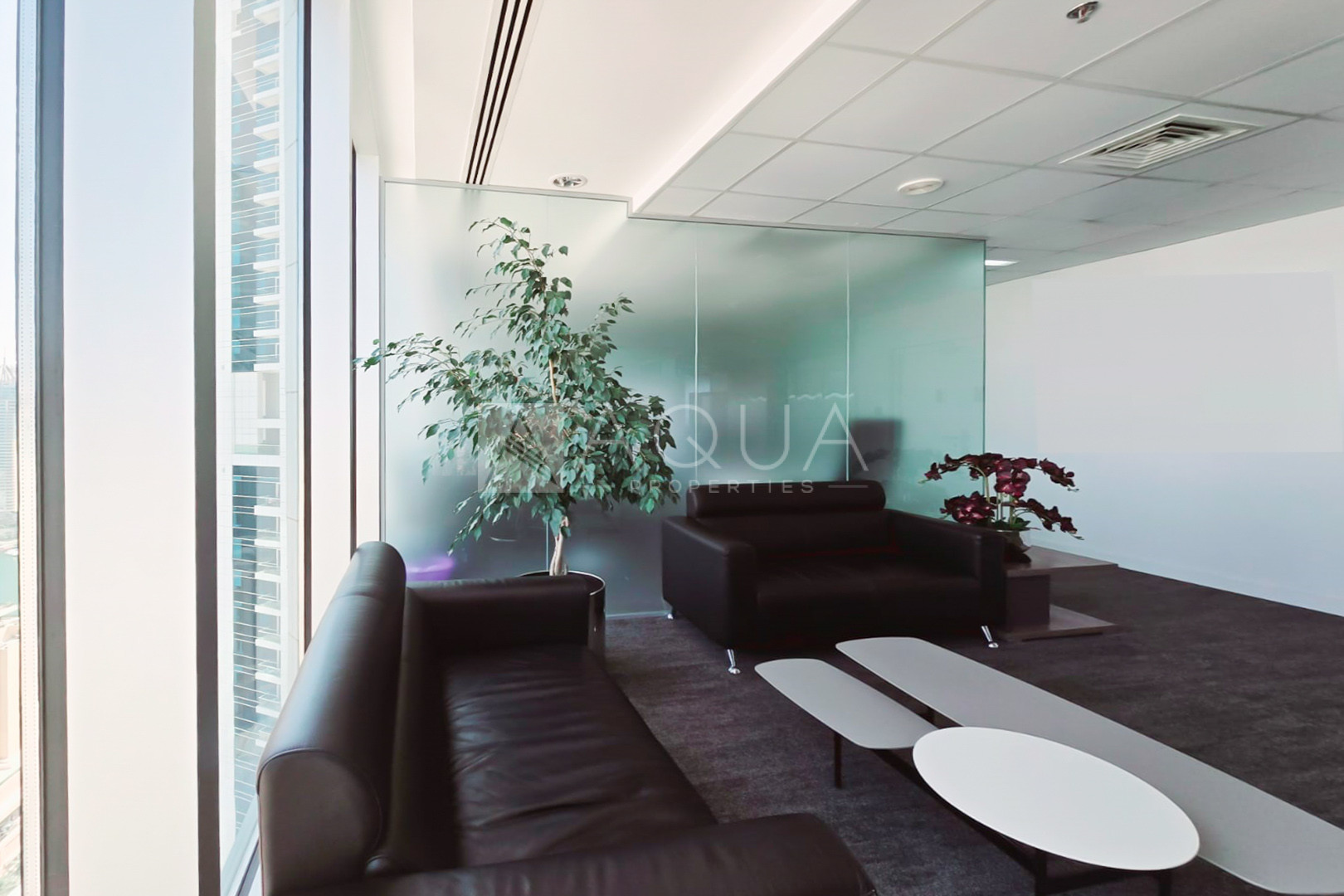 Panoramic View | Vibrant | High Quality 