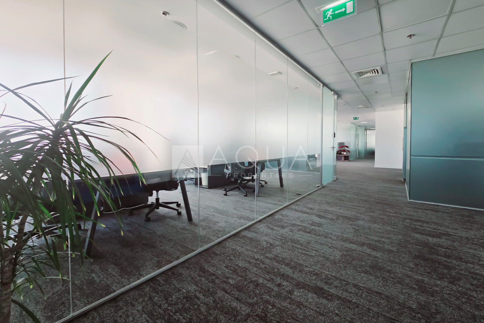 Panoramic View | Vibrant | High Quality 