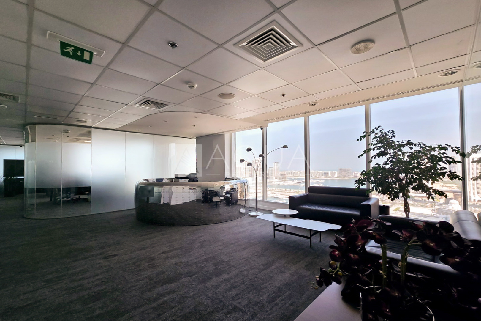 Panoramic View | Vibrant | High Quality 