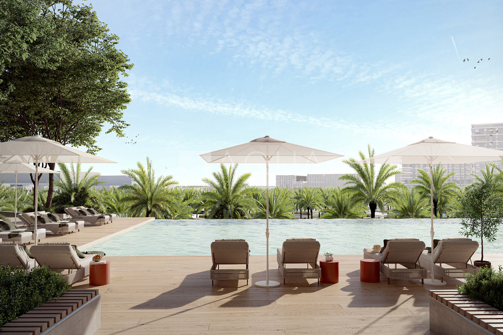 O.P +DLD | POOL VIEW | CLOSE TO  THE PARK