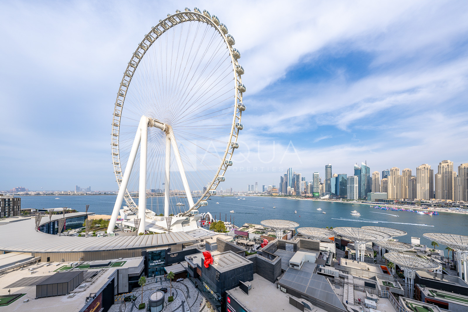 Panoramic Ain View | Vacant | Below Market Price