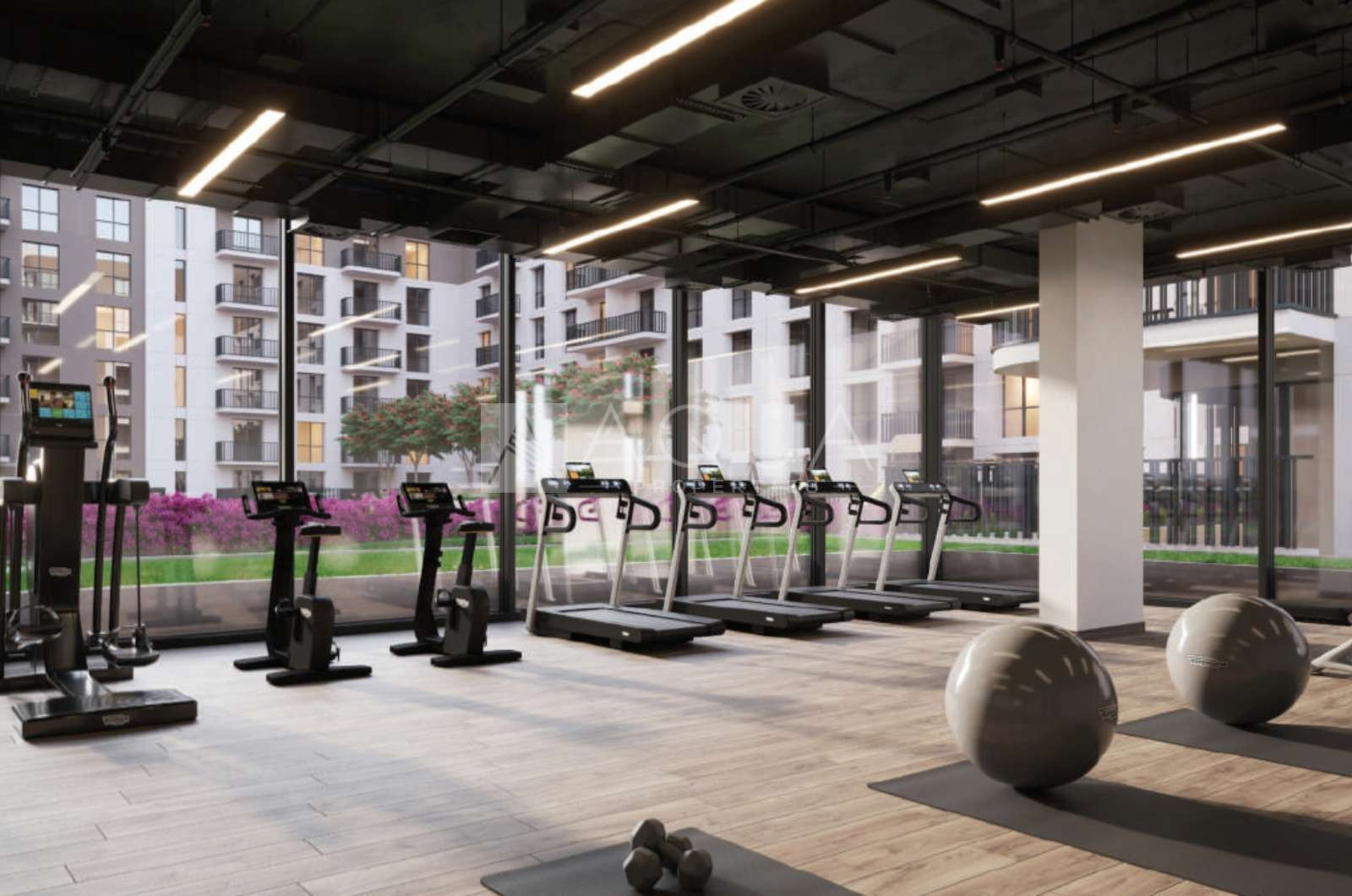 Community View | Park Access | Q3 2026  