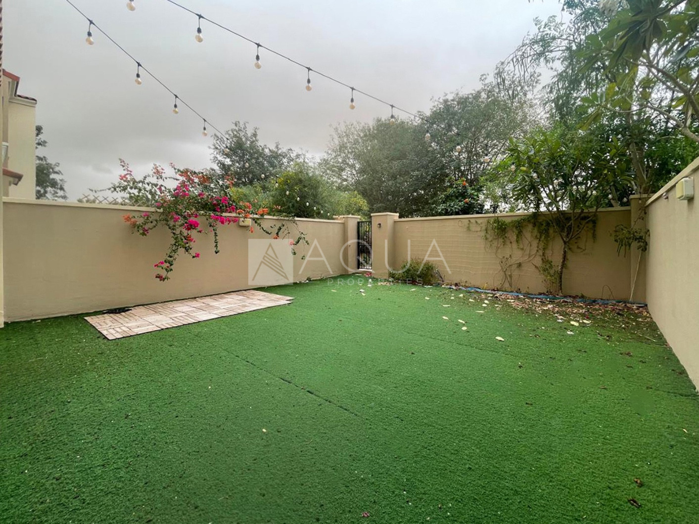 Biggest type C | Single Row | Available