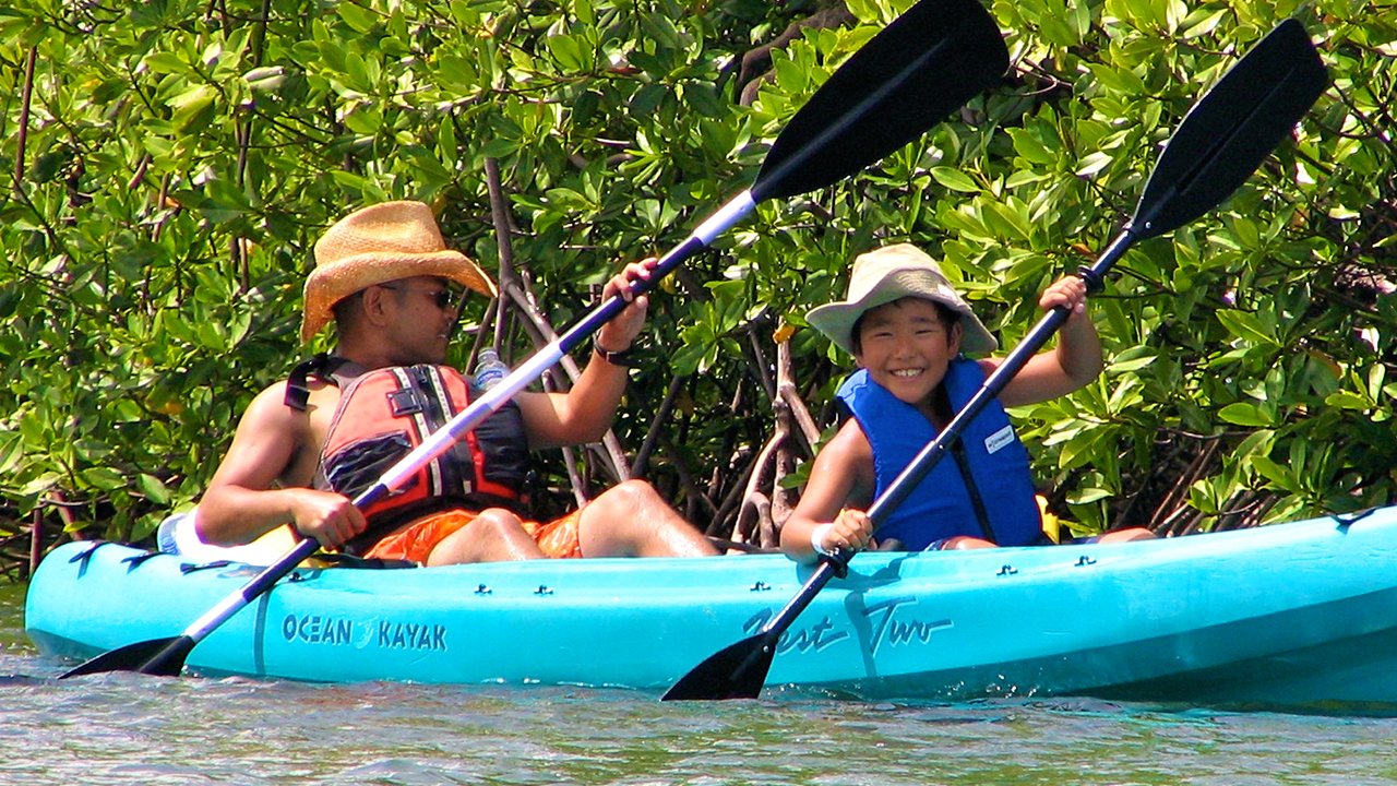 St. Thomas Mangrove Lagoon Cas Cay Kayak, Hike & Snorkel (5 hrs with lunch) Virgin Islands