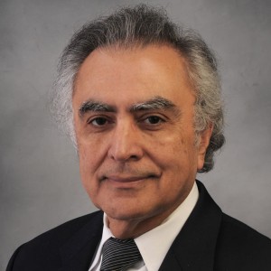 Piyush Ichhashanker Vyas, MD