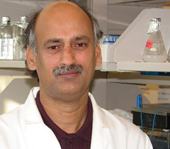 Bala K. Kolli