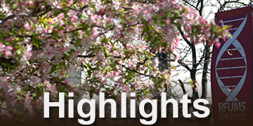 Highlights