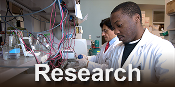 Research Highlights