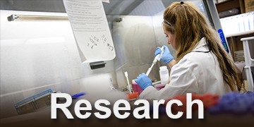 Research Highlights