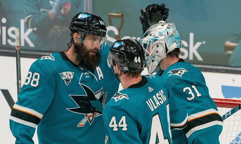 An Introduction to Daily Fantasy Hockey