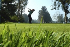 charlie-leesman-300x200