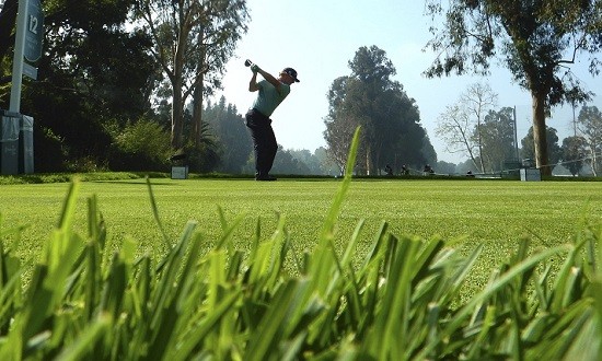 Searching for a Specialist: WGC-Cadillac