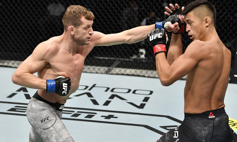 MMA Expert Survey - UFC Fight Night: Blachowicz vs. Rakic