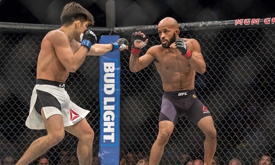 TUF 24 Finale: Johnson vs. Elliot Quick Picks