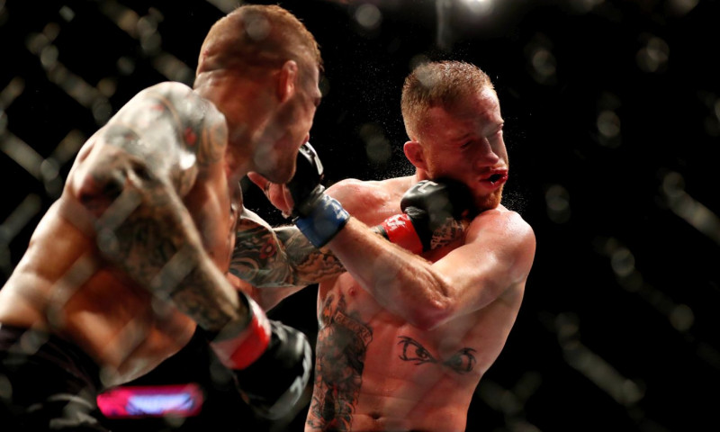 UFC Fight Night: Alvarez vs. Poirier Quick Picks