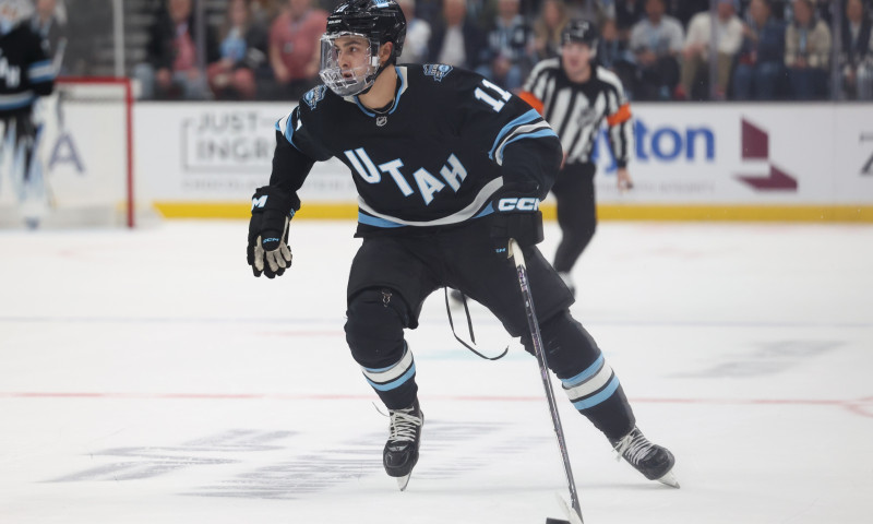 NHL DFS Expert Survey: Friday, October 17th